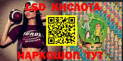 ПСИЛОЦИБИНОВЫЕ ГРИБЫ Краснодар