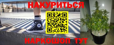 ПСИЛОЦИБИНОВЫЕ ГРИБЫ Краснодар