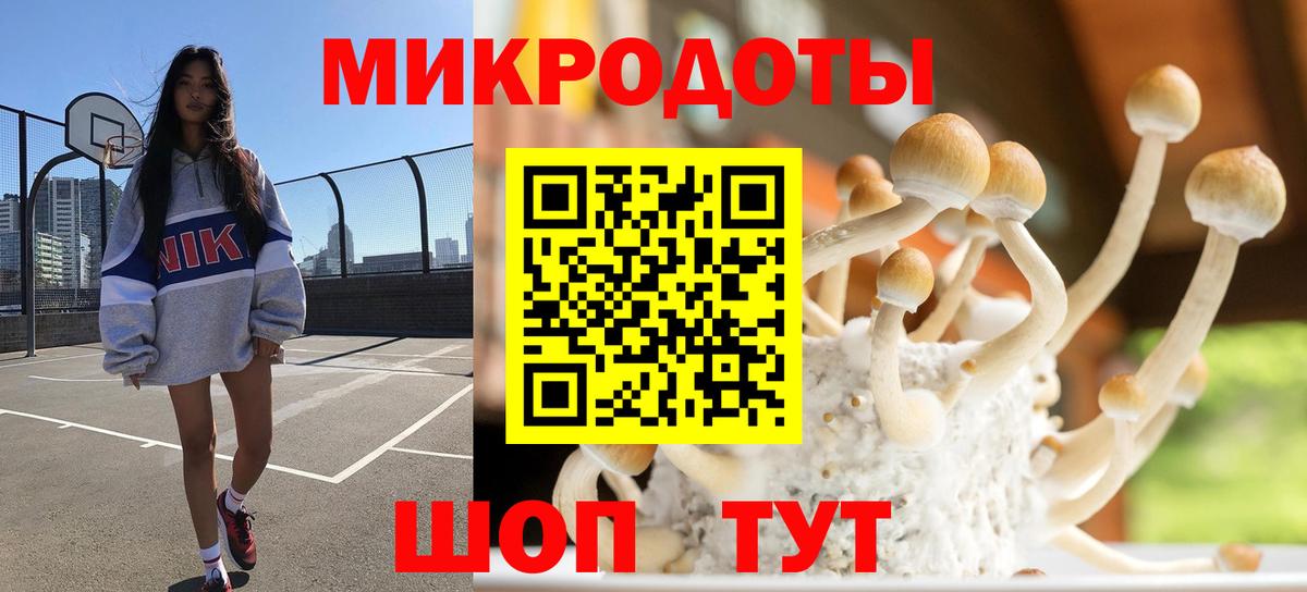Галлюциногенные грибы прущие грибы Кирово-Чепецк